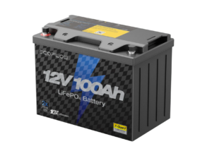 EcoFlow Lithium 12V 100Ah Deep Cycle LiFePO4 Battery